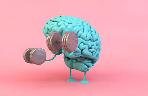 Musculation du cerveau