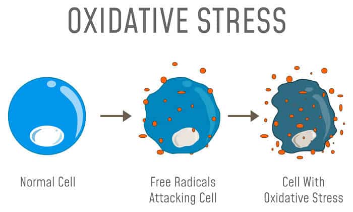 Oxidative stress