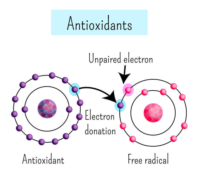 Paot Technology Antioxidants